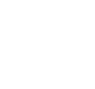 Swiss Asset